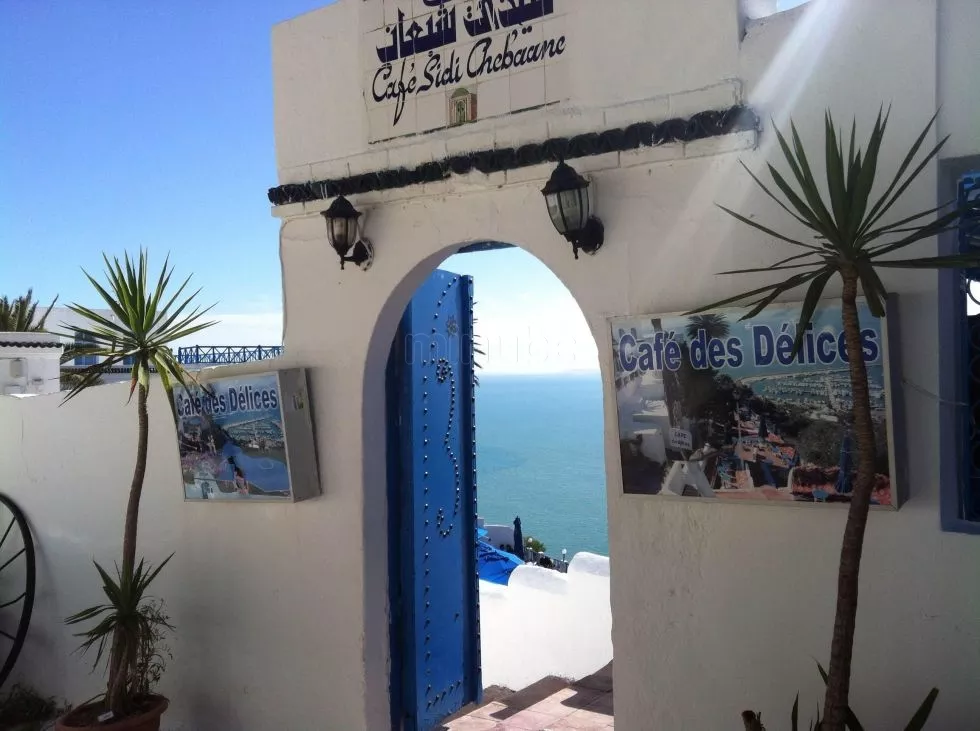 CAFÉ SIDI CHABAANE - SIDI BOUSAID