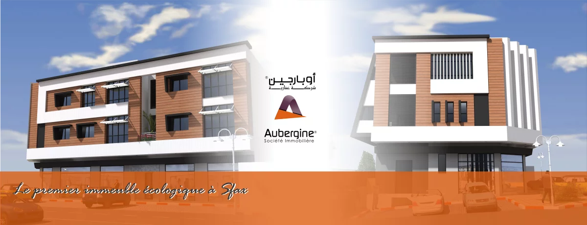 PROMOTION IMMOBILIER AUBERGINE - SFAX