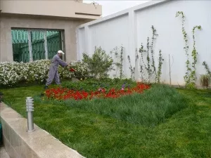 FLEURS ET JARDINS - LA MARSA TUNIS