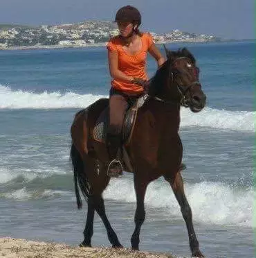 CENTRE EQUESTRE HAJJI - BIZERTE