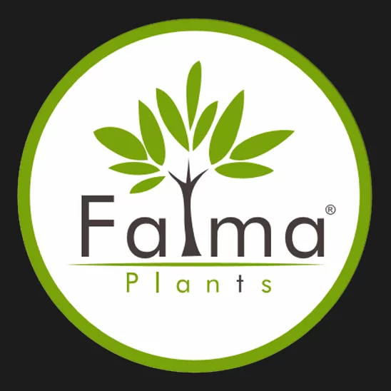 PEPINIERE FATMA PLANTS - SFAX