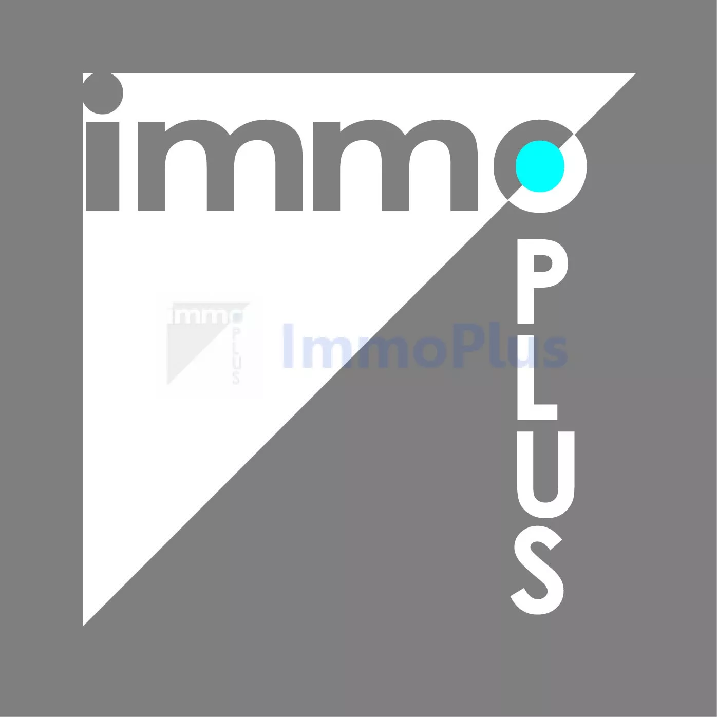 AGENCE IMMOBILIERE IMMOPLUS - CARTHAGE TUNIS